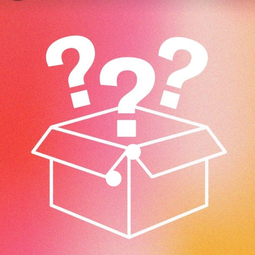 $80 MYSTERY BOX❓PURSES/BAGS🎀 FREE Wallet!🎀